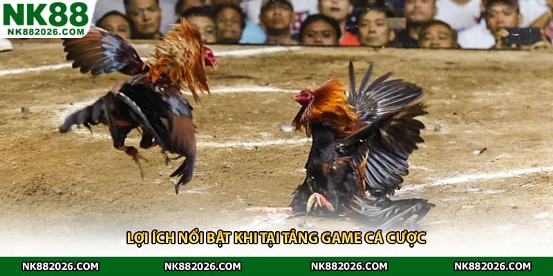 Lợi ích nổi bật khi tại tảng game cá cược